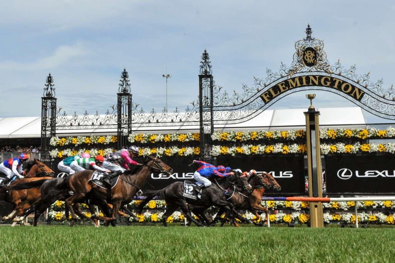 Punters club weekend